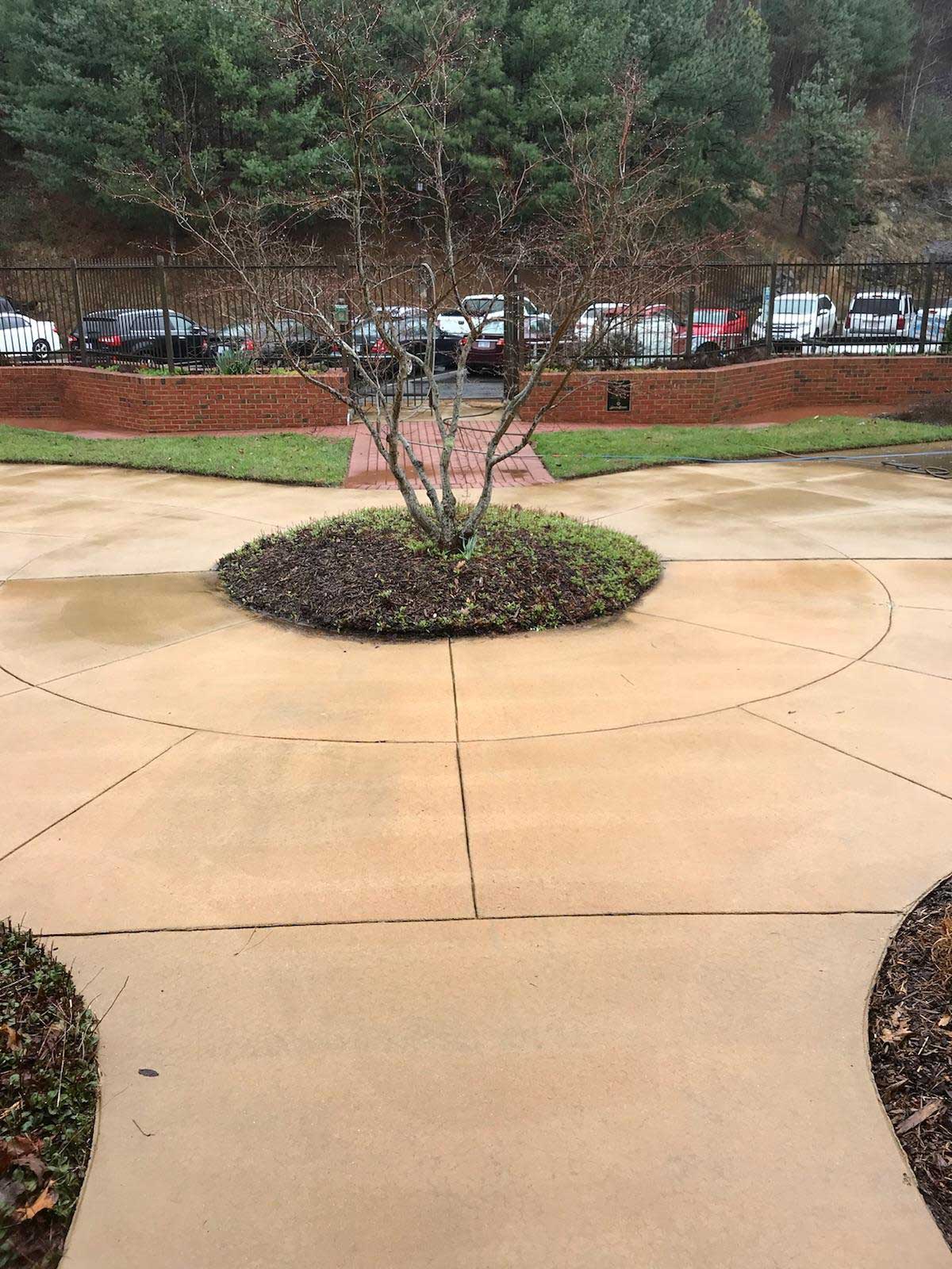 Professional Concrete Cleaning in Piney Flats, TN