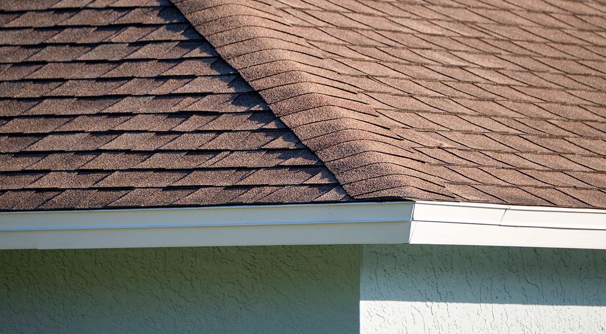 Professional Roof Cleaners Near Me