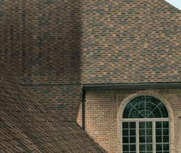 No Pressure Roof Cleaning