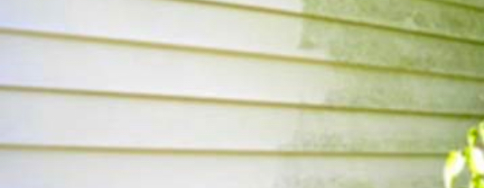 Environmentally Friendly Pressure Washers Near Me