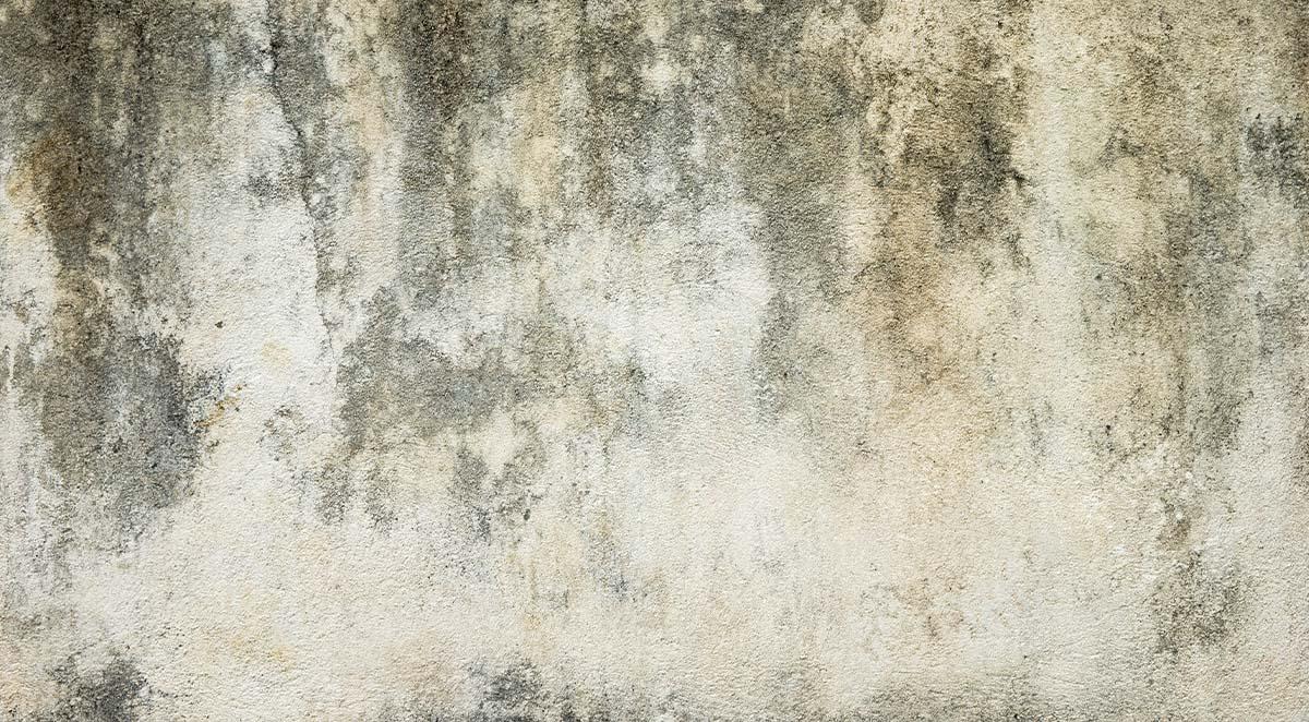 Professional Commercial Pressure Washing Company Near Johnson City, TN