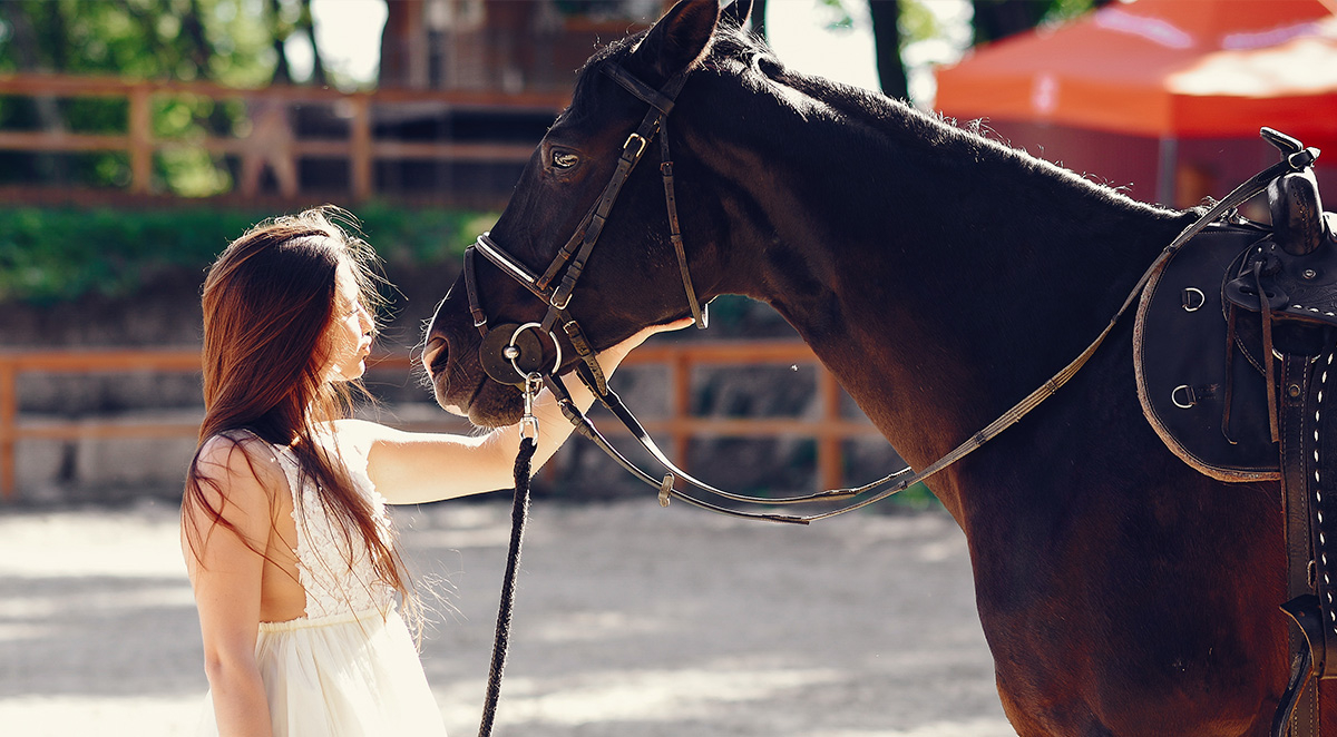 0b1ad7a7b79268a1f4558db78e092446 Cates Pressure Washing  | Items 21-24