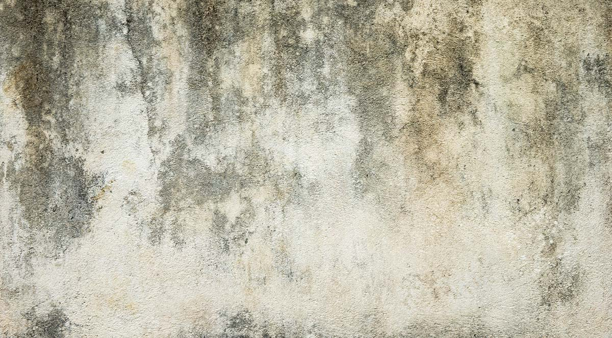 19f9cefdfb07230a68581d617885a3af Cates Pressure Washing  | Items 17-20