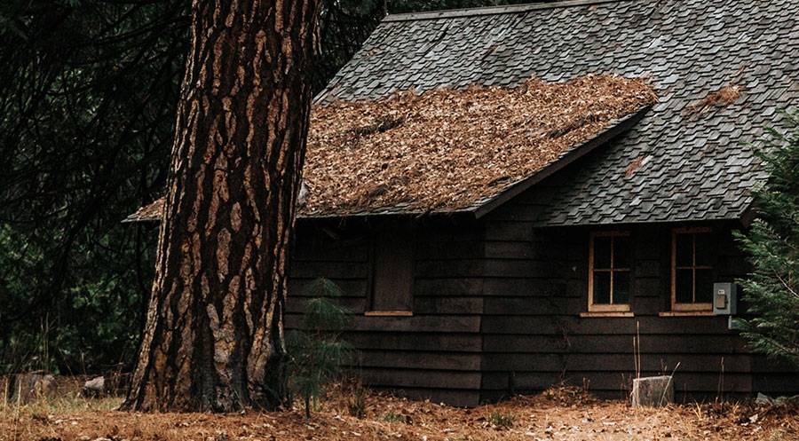 d61d44254608dd06ccdd2ff02982d14d Blog