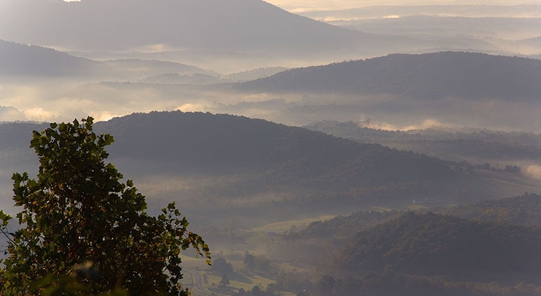 e31ace2a15a7c70645ad83df9ecd43b0 Blog