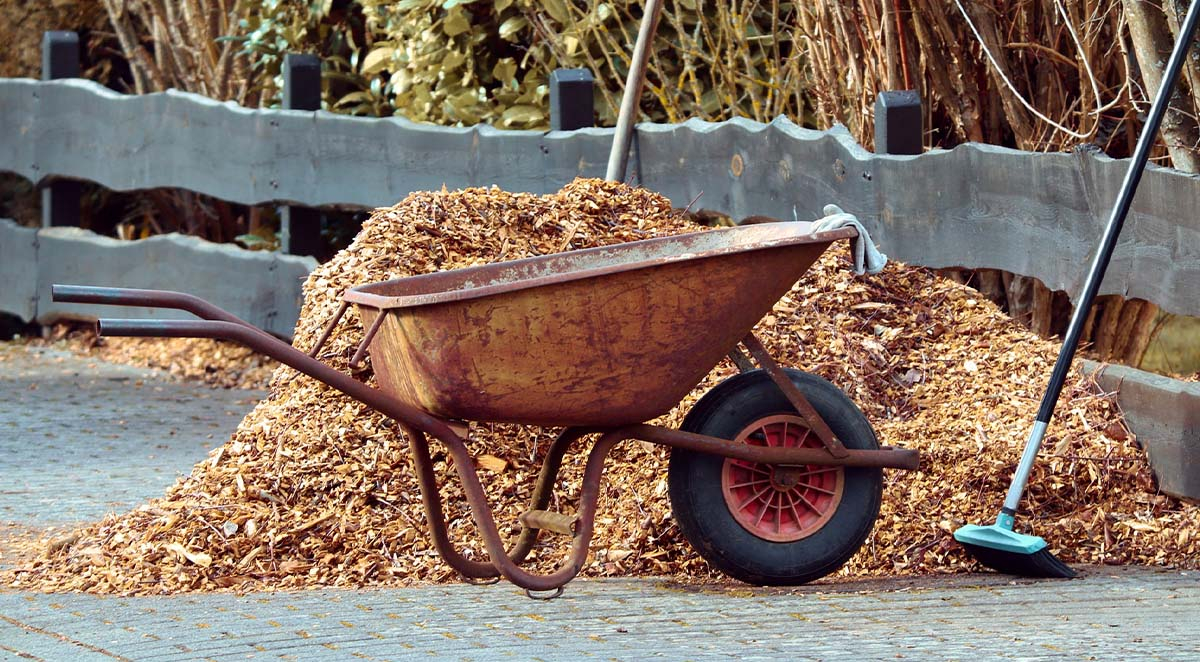 f4b6dca0e2911082f0eb6e1df1a0e11d Cates Pressure Washing Blog | Items 37-40