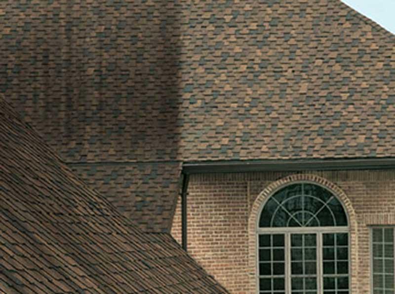 No Pressure Roof Cleaning