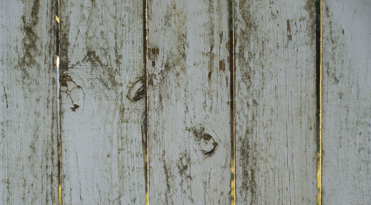 outdoor mold pressure washing